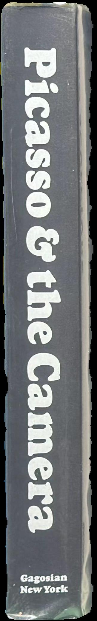 Picasso and the camera live spine