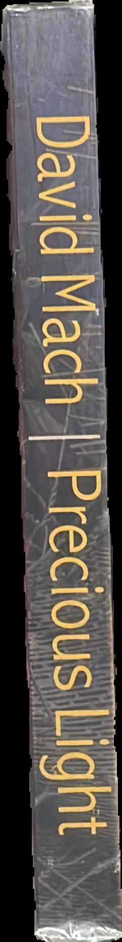Precious light : King James bible, a celebration 1611-2011 live spine
