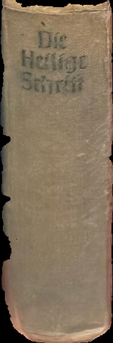 Die Bibel oder die ganze heilige Schrift des alten und neuen Testaments nach der deutschen Übersetzung Martin Luthers live spine