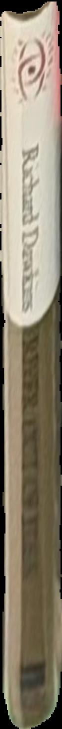 Aspects of Perth modernism 1929-1942 live spine