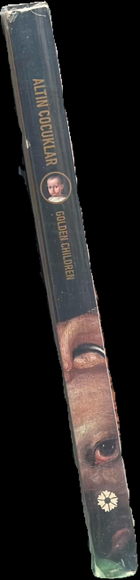 Golden children : 16th-19th century European portraits live spine