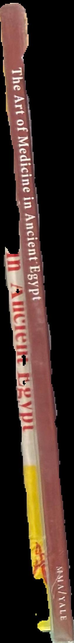 The art of medicine in ancient Egypt live spine