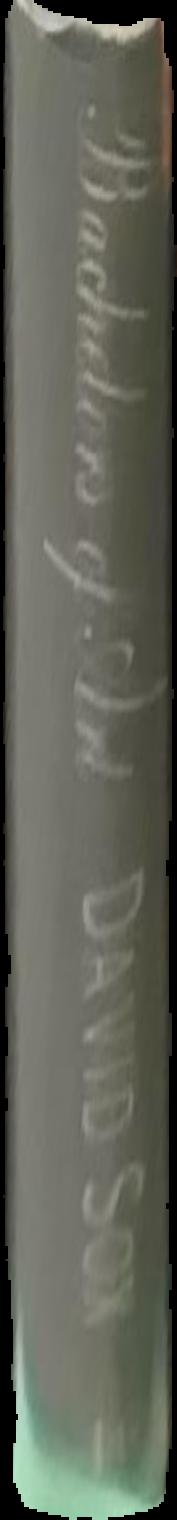 Dombey and son live spine