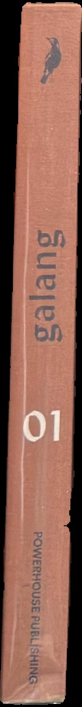 Galang = Belonging / [authors:] Brook Garru Andrew [and 7 others] live spine