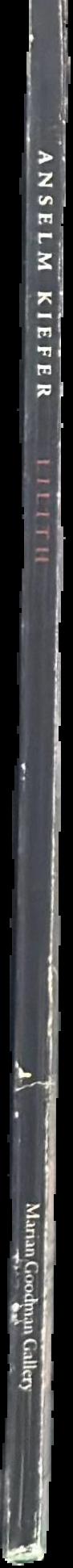 Amikam Toren : 24 November 1990-5 January 1991 live spine