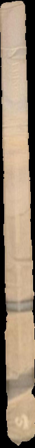 The bird man : a sketch of the life of John Gould / by Charles Barrett live spine