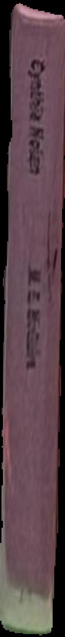 Cynthia Nolan : a biography live spine