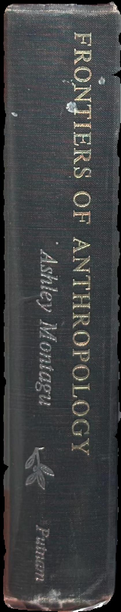 Frontiers of anthropology live spine