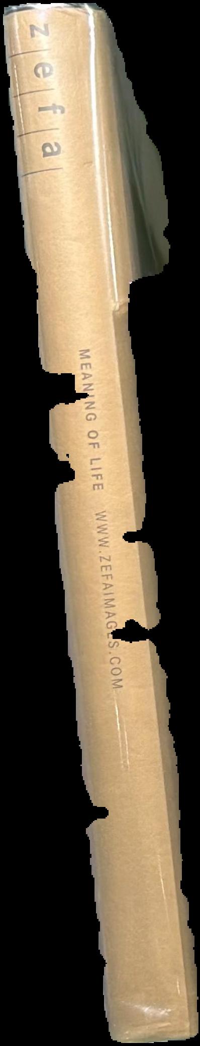Meaning of life live spine