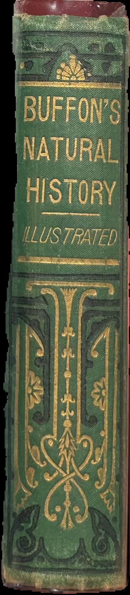 Buffon's natural history live spine