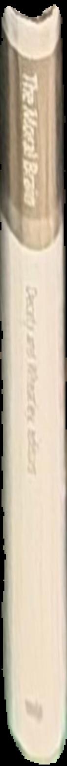 How did we find out about the brain? / Isaac Asimov ; illustrated by Erika W. Kors live spine