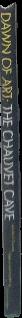 African art / Dennis Duerden live spine