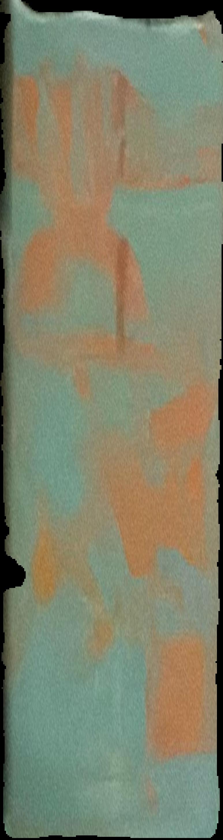 Juan Davila : the moral meaning of wilderness live spine