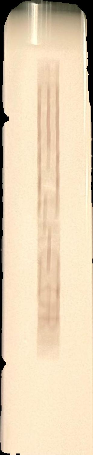 The conversion of St. Paolo Malfi live spine