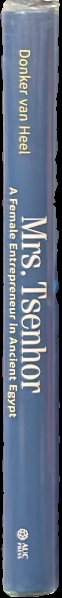 Mrs Tsenhor : a female entrepreneur in ancient Egypt live spine