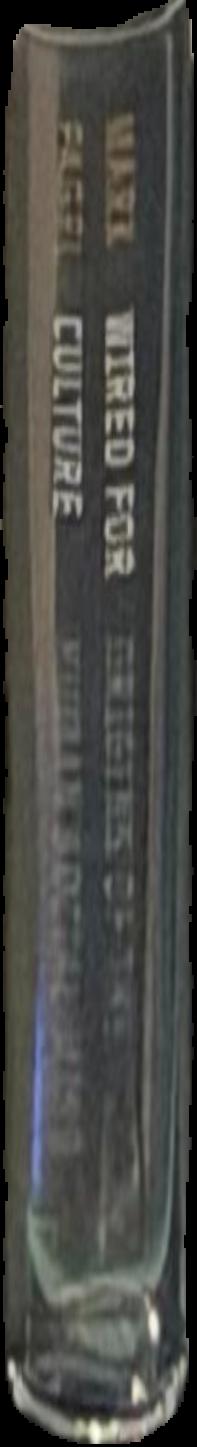 India : art and culture 1300-1900 live spine