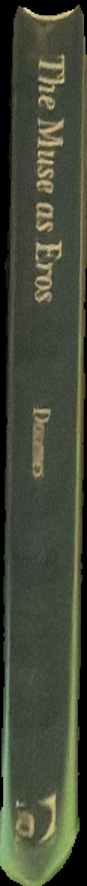 The muse as Eros : music, erotic fantasy and male creativity in the romantic and modern imagination / Stephen Downes live spine