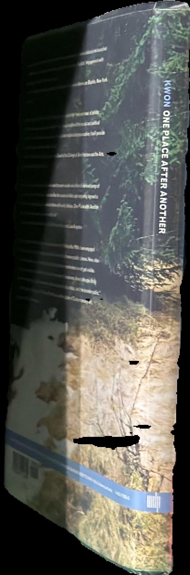 One place after another : site-specific art and locational identity live spine