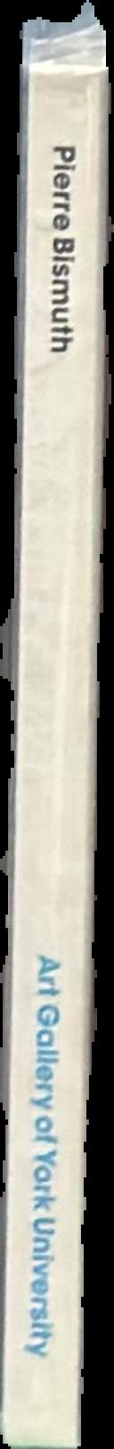 Pierre Bismuth live spine