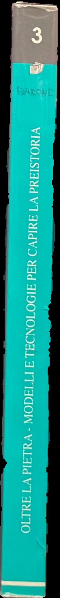 Oltre la pietra : modelli e tecnologie per capire la preistoria live spine