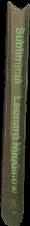 Worlds without end / Clifford D. Simak live spine