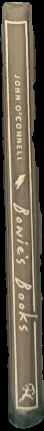 Bowie's books : the hundred literary heroes who changed his life / John O'Connell ; illustrations by Luis Paadín live spine