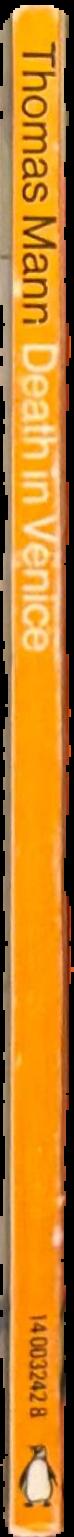 Death in Venice live spine