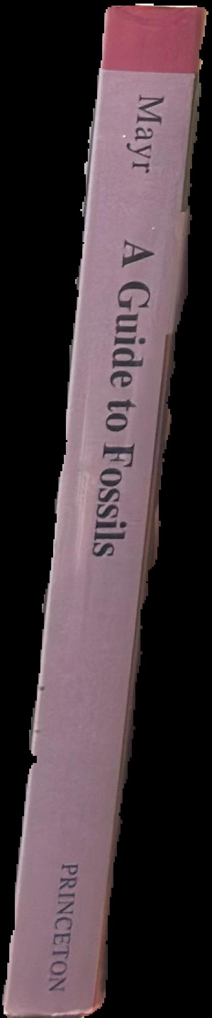 A guide to fossils live spine
