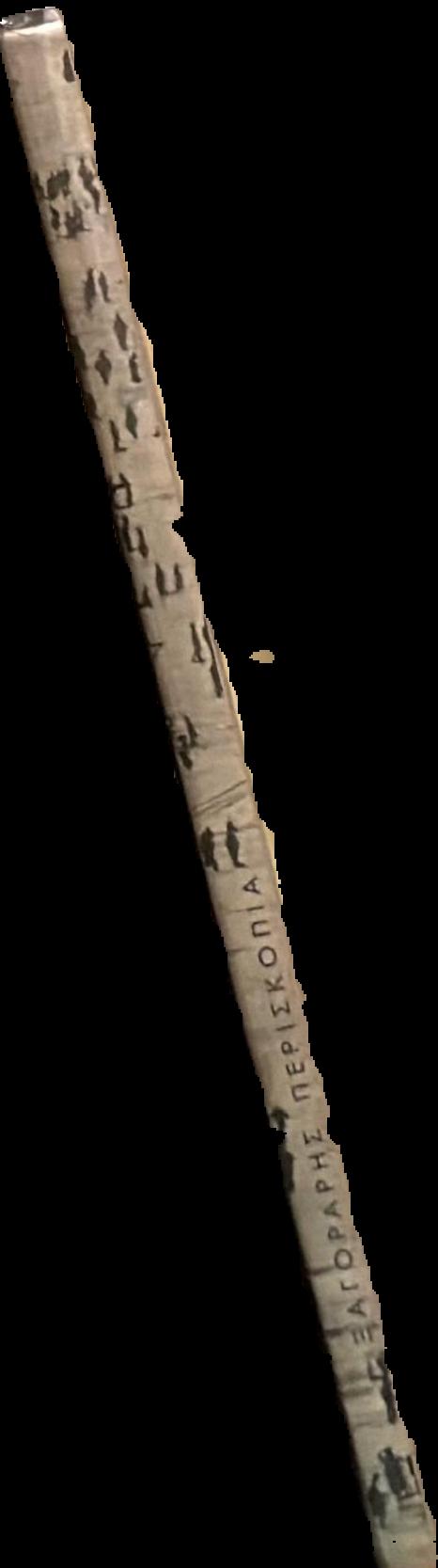 Periskopia live spine