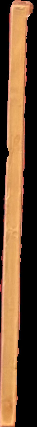 Sand in the sole : poems live spine