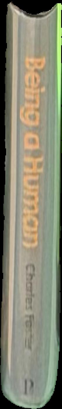 Ways of being : beyond human intelligence / James Bridle live spine