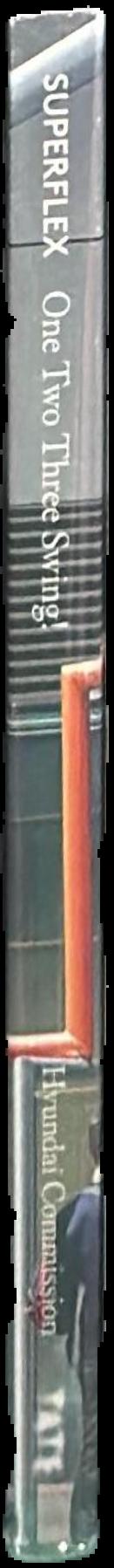 SUPERFLEX : one two three swing! / edited by Donald Hyslop, Isabella Magnoni and Valentina Ravaglia ; with contributions by Barbara Steiner and SUPERFLEX live spine