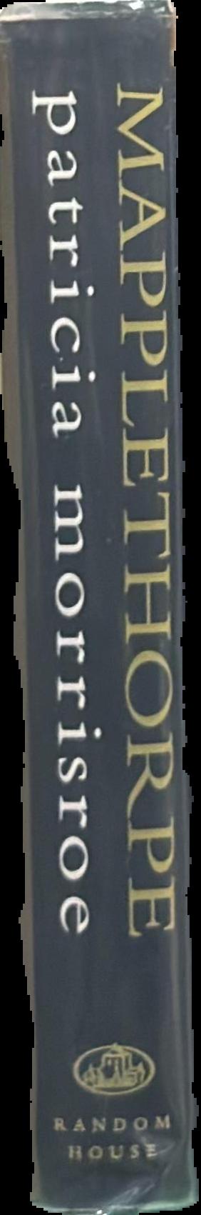 Mapplethorpe : a biography live spine