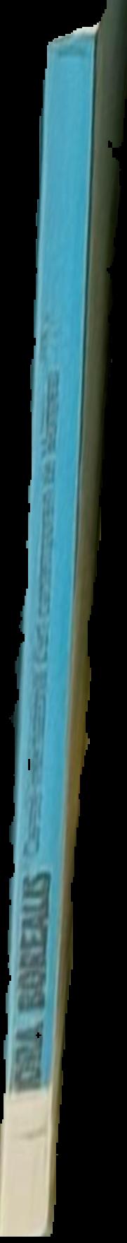 Aurora borealis live spine