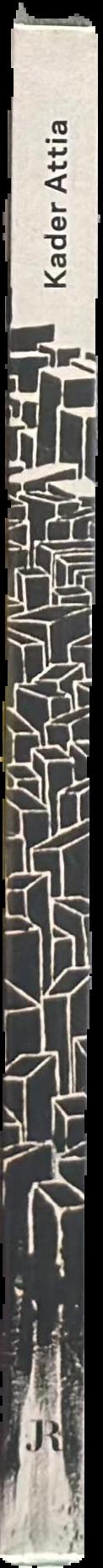 Kader Attia live spine