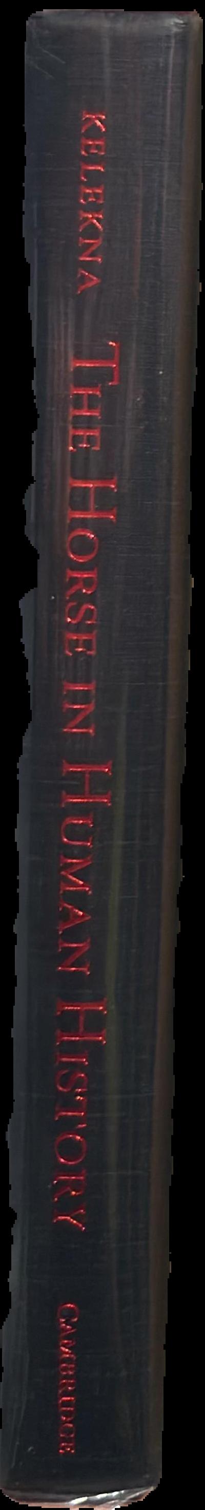 The horse in human history live spine