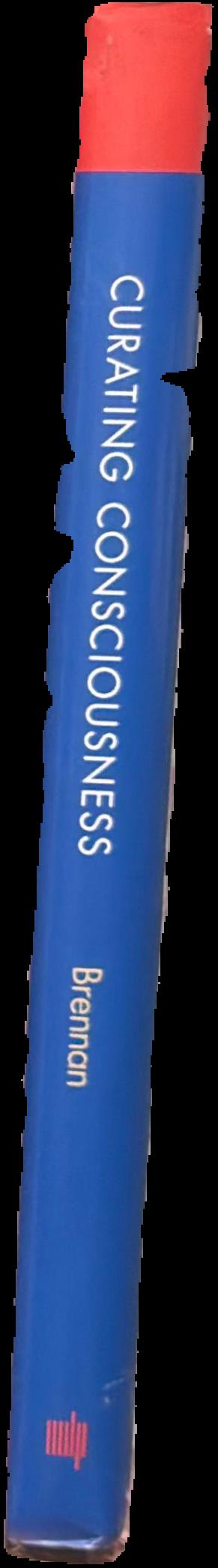 Curating consciousness : mysticism and the modern museum live spine
