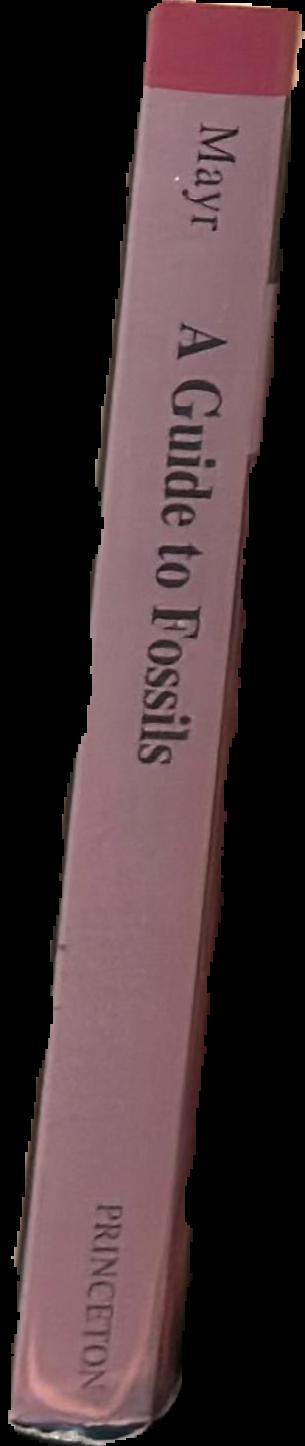 A guide to fossils live spine