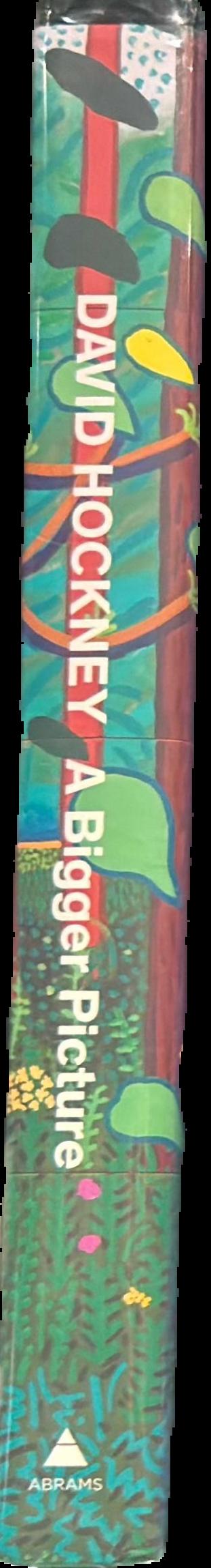 David Hockney : a bigger picture live spine
