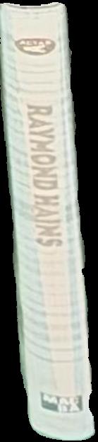 Raymond Hains live spine