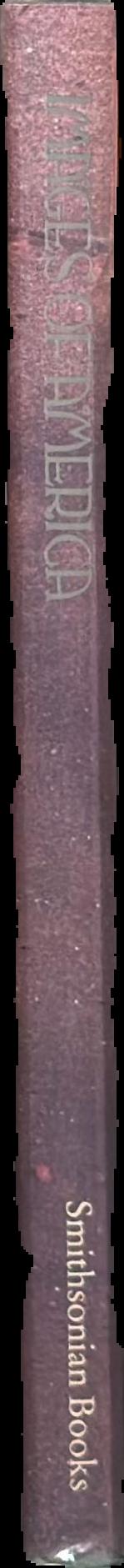 America B. C. : ancient settlers in the New World live spine