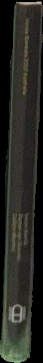Cathy Staughton's wondrous imgainarium live spine