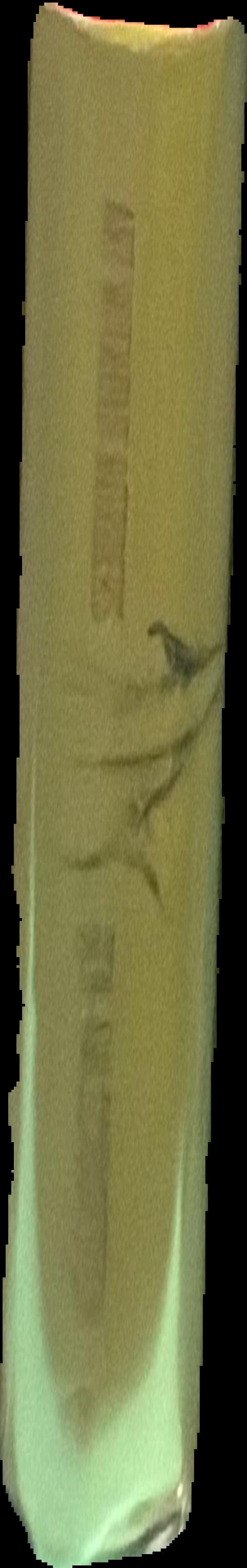 Daniel Richter : die palette 1995-2007 live spine