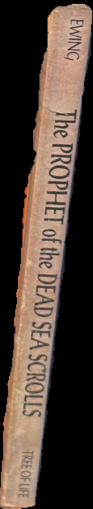 The Dead Sea Scrolls live spine