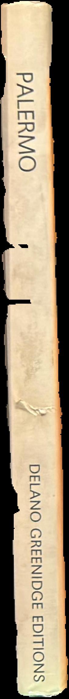 Blinky Palermo, 1943-1977 live spine
