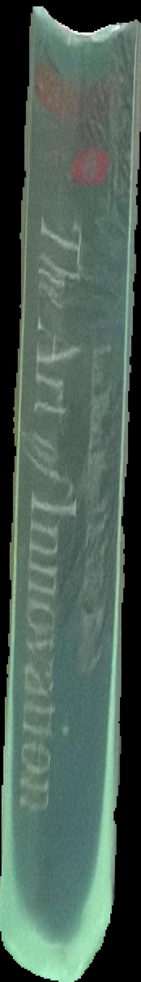 Modern analytical methods in art and archaeology live spine