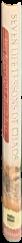 The life era : cosmic selection and conscious evolution / Eric Chaisson ; illustrated by Lola Judith Chaisson live spine