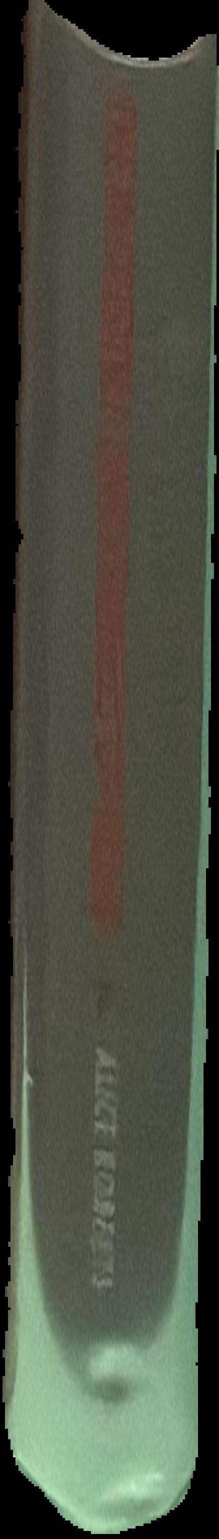 A scatter of stardust live spine