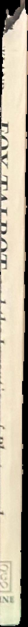 Difference on display live spine
