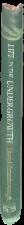 The ultimate universe : the most up-to-date guide to the cosmos / David H. Levy live spine
